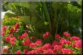 zz IMG0037
